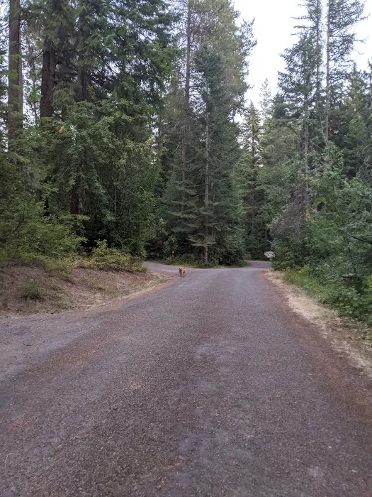 Mokins Bay Campground Picture 4