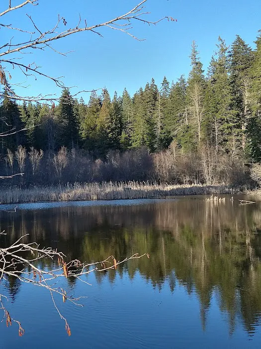 Mokins Bay Campground Picture 5