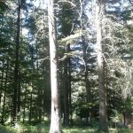 Mokins Bay Campground