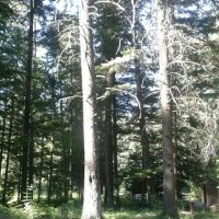 Mokins Bay Campground ico
