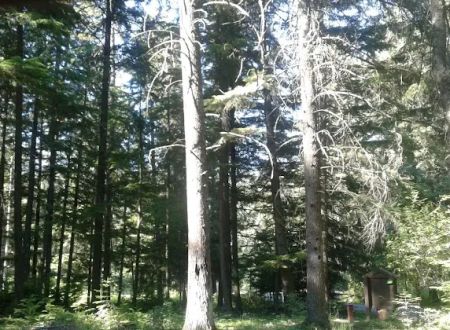 Mokins Bay Campground