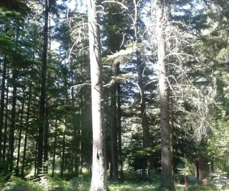 Mokins Bay Campground