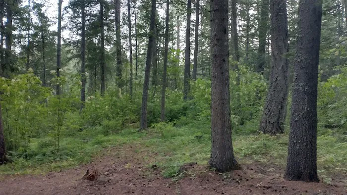 Mokins Bay Campground Picture 8