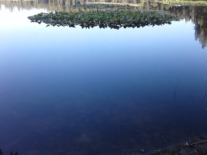 Mokins Bay Campground Picture 9