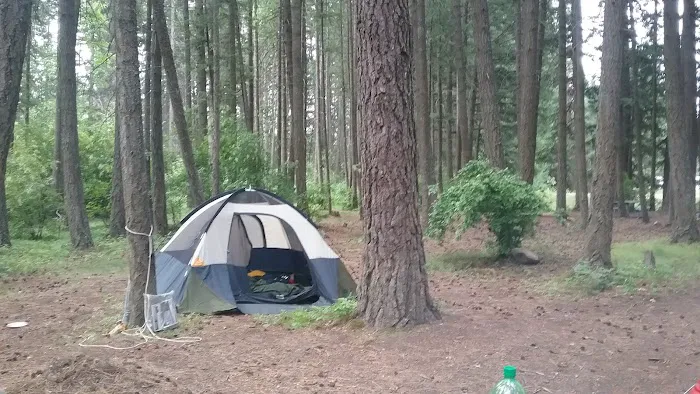 Thimbleberry Group Camp Picture 10