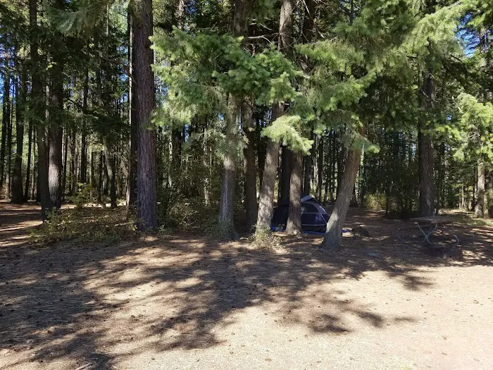 Thimbleberry Group Camp Picture 3