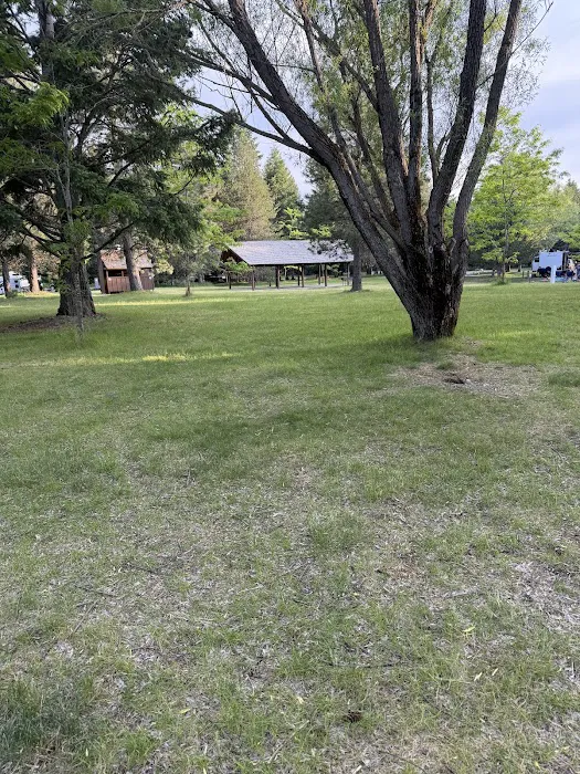 Waldron Campground Picture 5