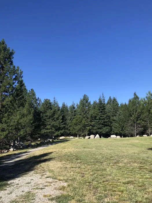Gilmore Campground Picture 5