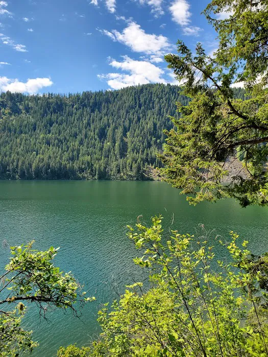 Gilmore Campground Picture 9