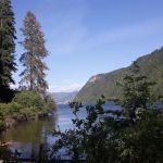 Buttonhook Group Camps