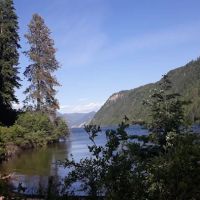 Buttonhook Group Camps ico