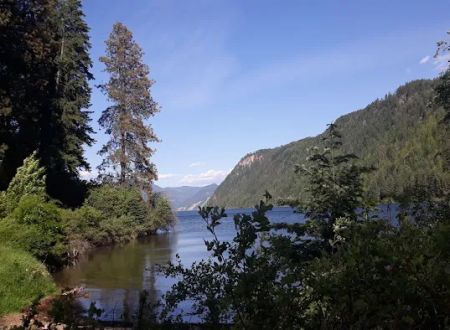 Buttonhook Group Camps