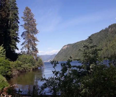 Buttonhook Group Camps
