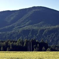 Camp Ward ico
