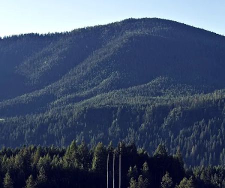 Camp Ward