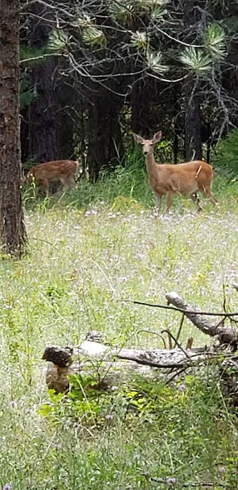 Whitetail Campground Picture 2
