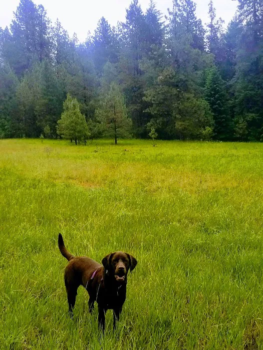 Whitetail Campground Picture 9