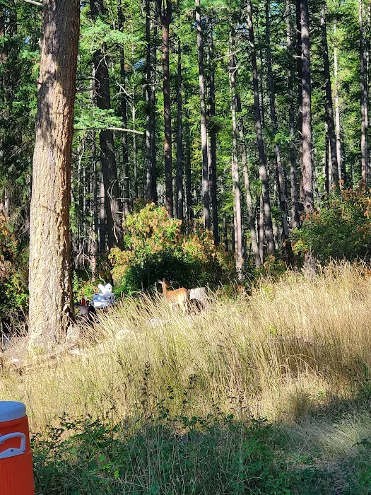 Whitetail Campground Picture 8