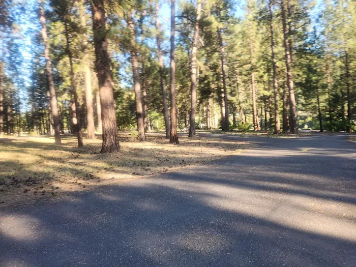 Whitetail Campground Picture 5