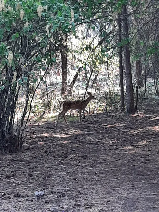 Whitetail Campground Picture 10