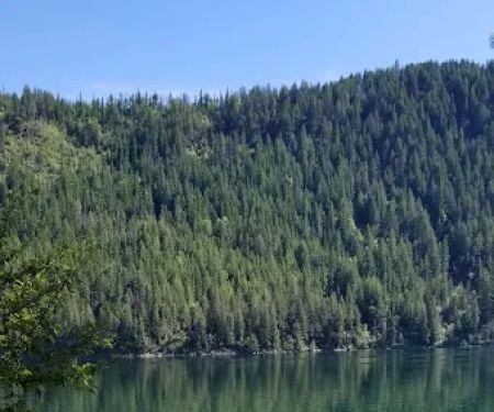 Snowberry Campground