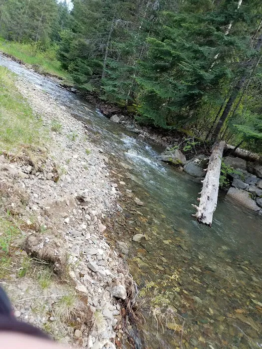 Beauty Creek Campground Picture 5