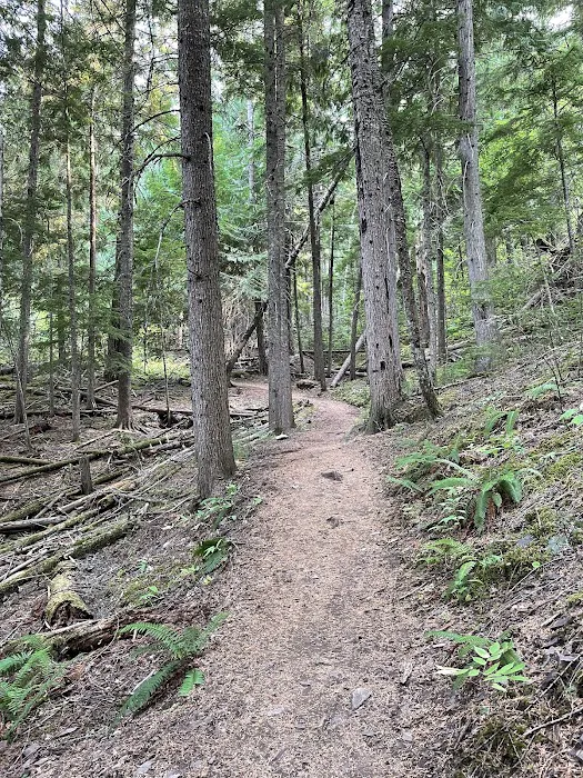 Beauty Creek Campground Picture 4