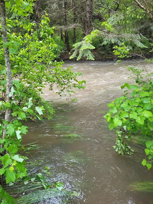 Beauty Creek Campground Picture 6