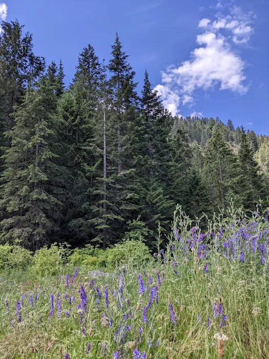 Beauty Creek Campground Picture 2