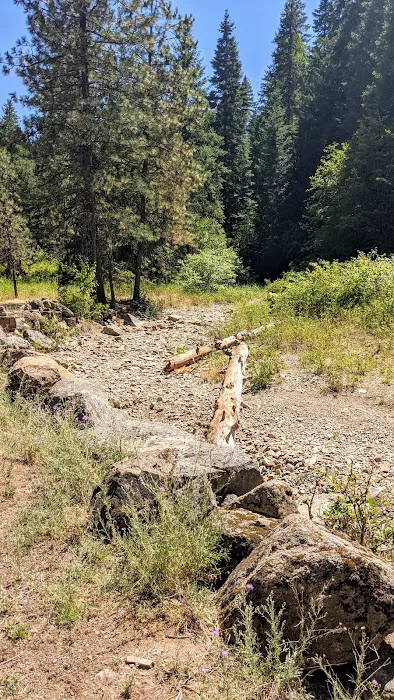 Beauty Creek Campground Picture 10