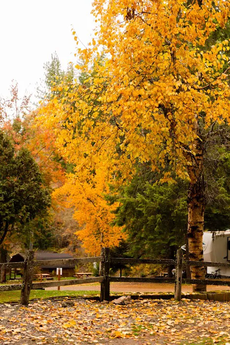 Camp Coeur d'Alene Picture 10
