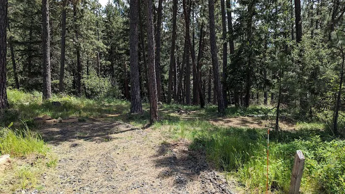 Harrison Bluffs Campground Picture 3