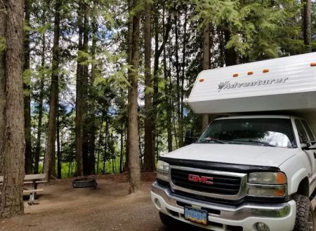 Springy Point Campground