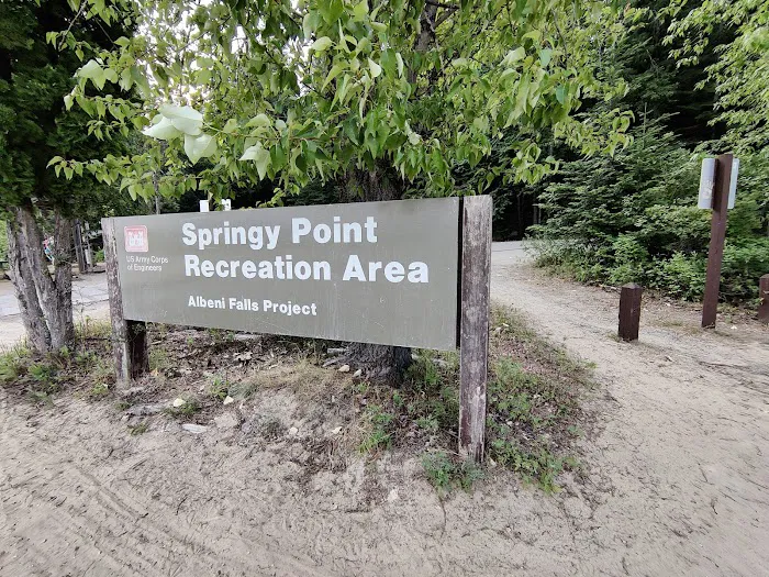 Springy Point Campground Picture 6
