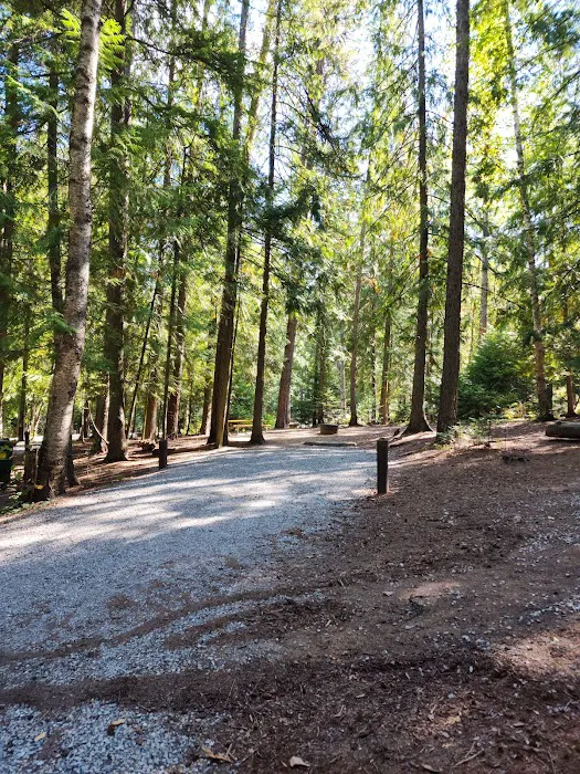 Springy Point Campground Picture 10