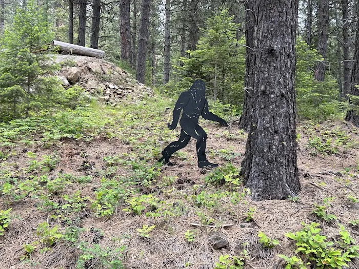 Mirror Lake Hipcamp (“Bigfoot Campout”) Picture 5