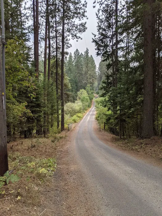 Benewah Lake Campground Picture 10