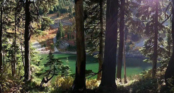 Lost Moose Campground Picture 4