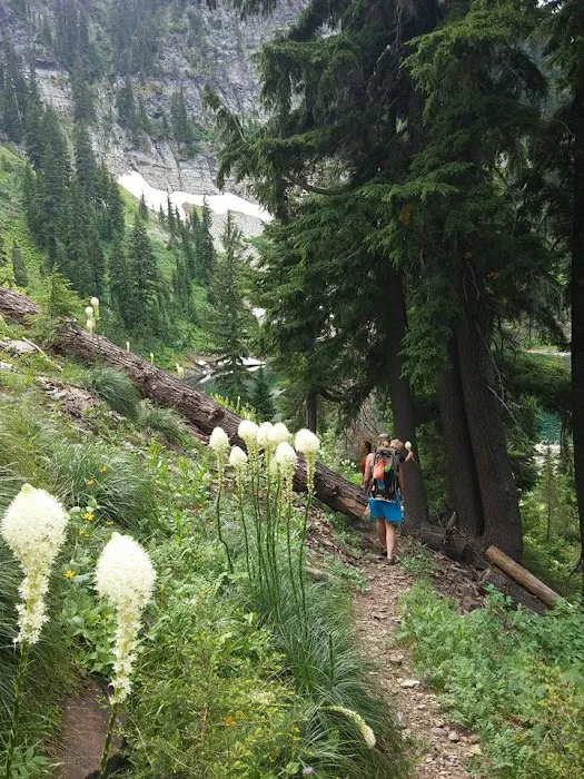 Lost Moose Campground Picture 6