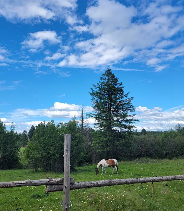 Parkside Mountain Ranch Picture 8