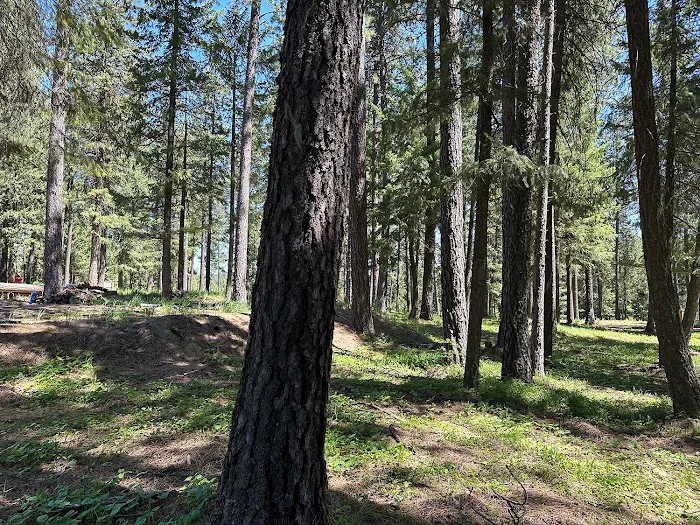 Heyburn Parkside Resort Picture 7