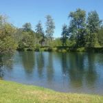 Misty Meadows RV Park