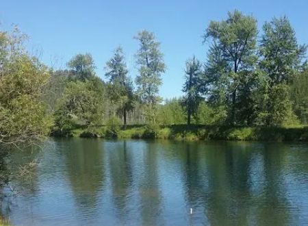 Misty Meadows RV Park