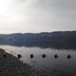 Priest Rapids Recreation Area