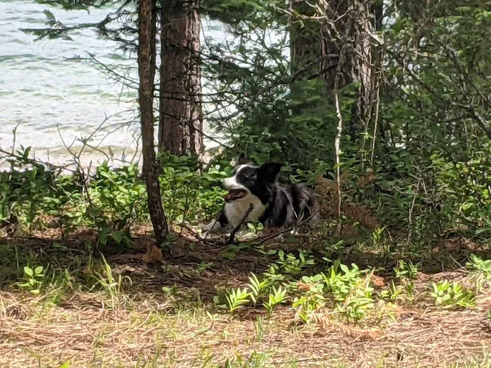 Reeder Bay Campground Picture 7