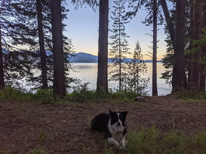 Reeder Bay Campground Picture 4