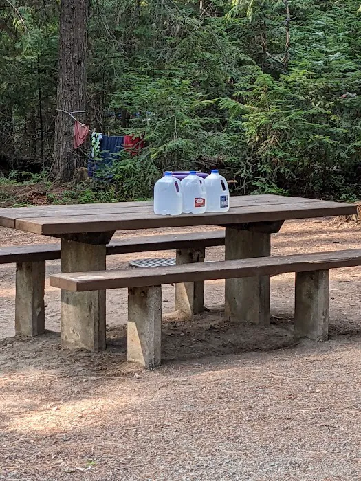 Reeder Bay Campground Picture 10