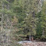 Indian Creek Campgrounds Store