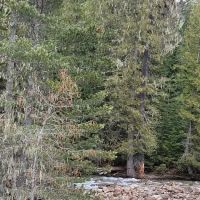 Indian Creek Campgrounds Store ico