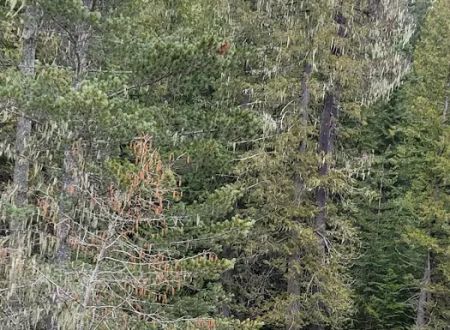 Indian Creek Campgrounds Store